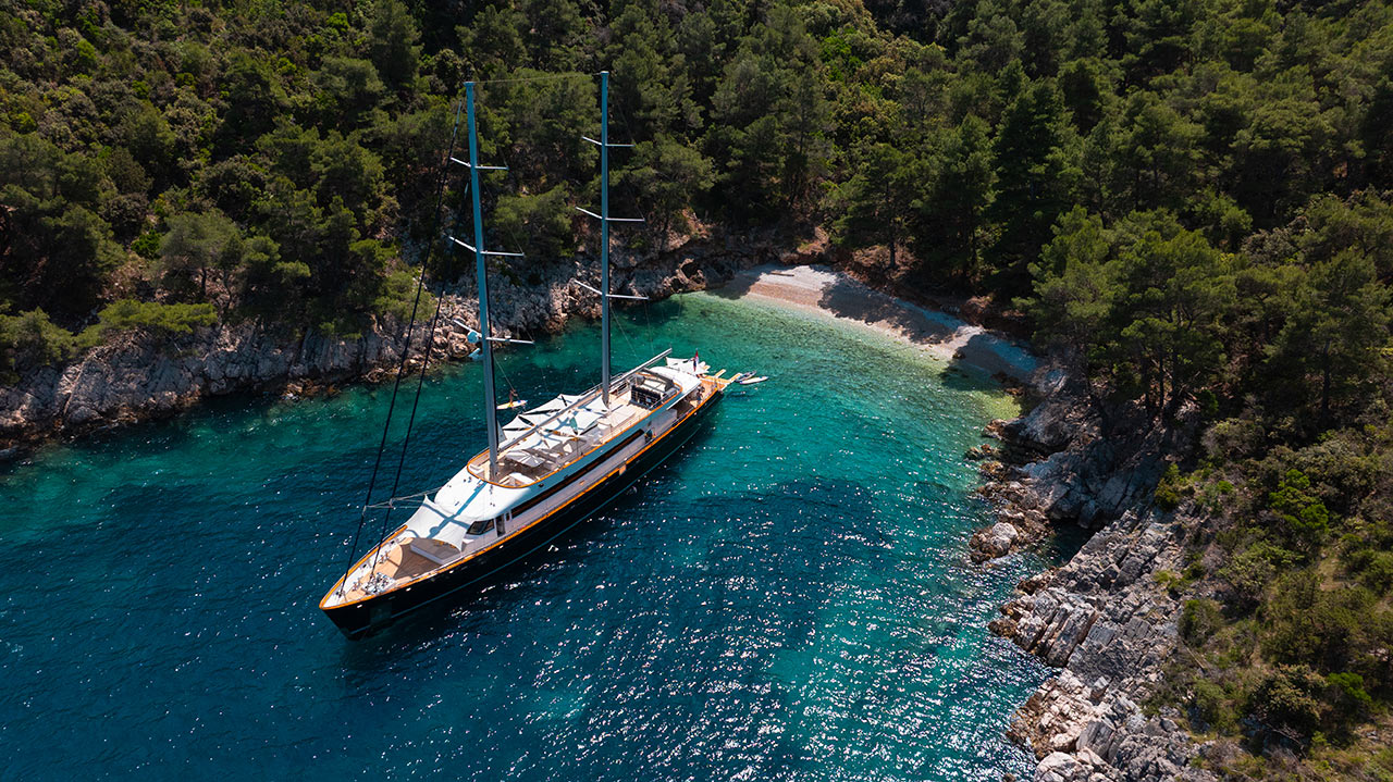 Dalmatino - Image 13