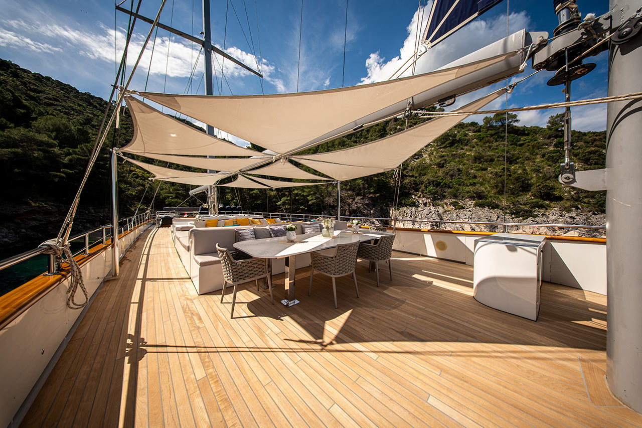 Dalmatino - Image 12