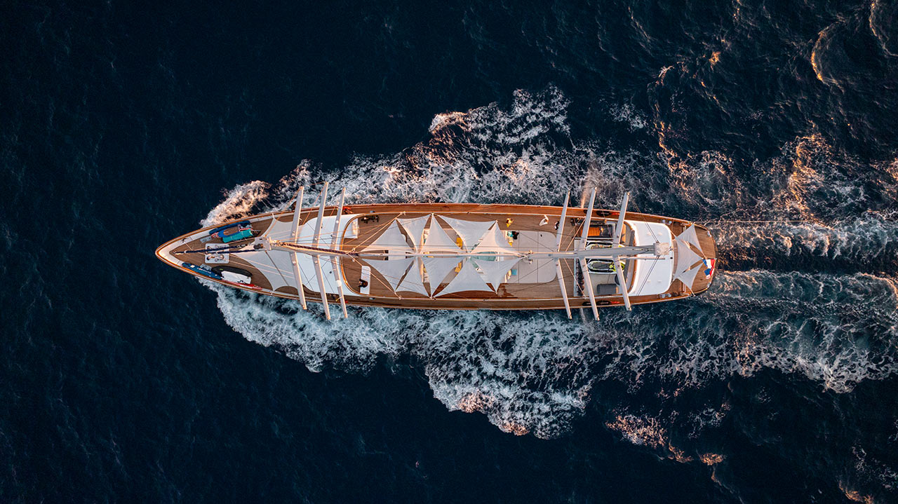 Dalmatino - Image 11